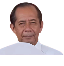 wilo-pica-removebg-preview